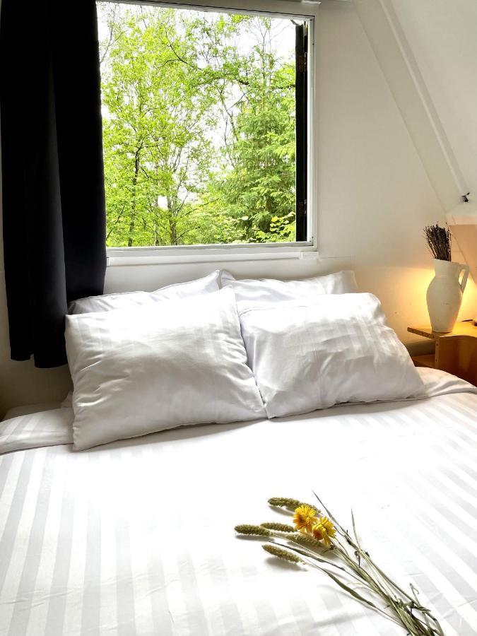 L'Evasion - Bungalow 102 Durbuy Eksteriør billede
